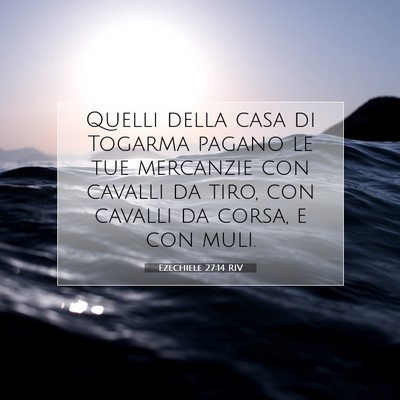 Ezechiele 27:14 Versetto della Bibbia Spiegato