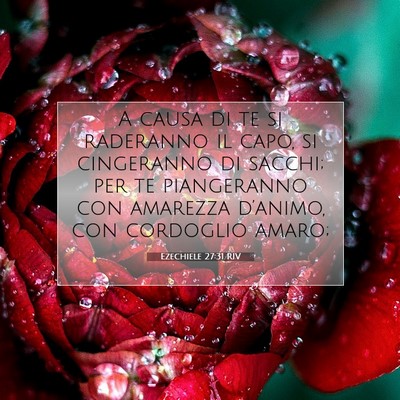 Ezechiele 27:31 Versetto della Bibbia Spiegato