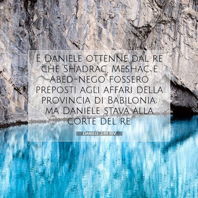Daniele 2:49 RIV Immagine del Versetto della Bibbia