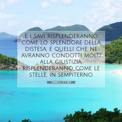 Daniele 12:3 RIV Immagine del Versetto della Bibbia
