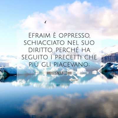 Osea 5:11 RIV Immagine del Versetto della Bibbia