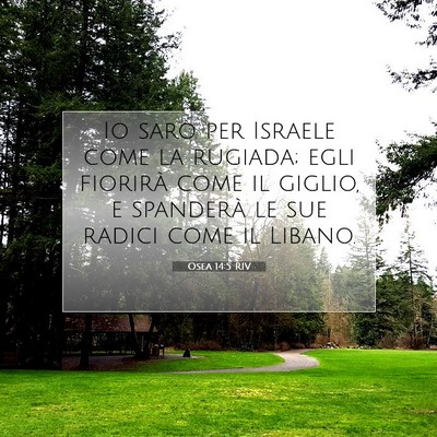 Osea 14:5 Versetto della Bibbia Spiegato