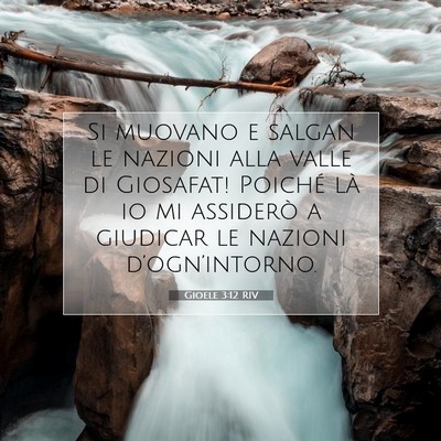 Gioele 3:12 Versetto della Bibbia Spiegato