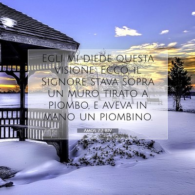Amos 7:7 RIV Immagine del Versetto della Bibbia