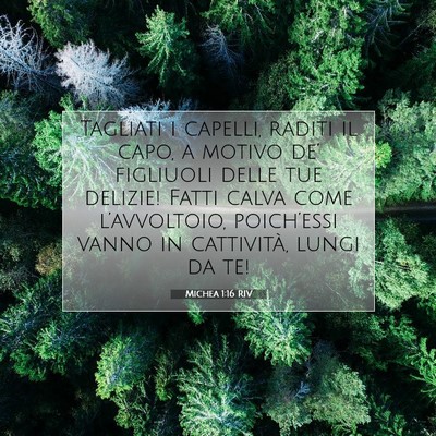 Michea 1:16 Versetto della Bibbia Spiegato