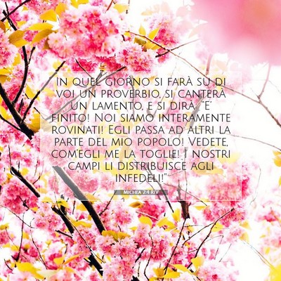 Michea 2:4 RIV Immagine del Versetto della Bibbia