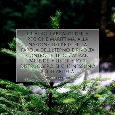 Sofonia 2:5 RIV Immagine del Versetto della Bibbia