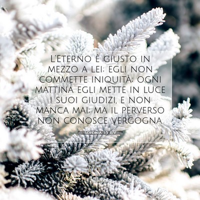 Sofonia 3:5 RIV Immagine del Versetto della Bibbia