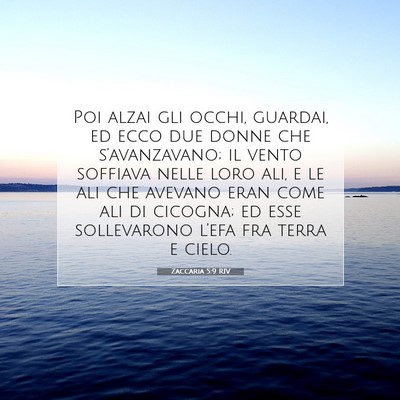 Zaccaria 5:9 RIV Immagine del Versetto della Bibbia