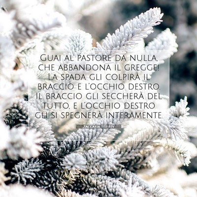 Zaccaria 11:17 RIV Immagine del Versetto della Bibbia