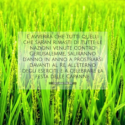 Zaccaria 14:16 RIV Immagine del Versetto della Bibbia