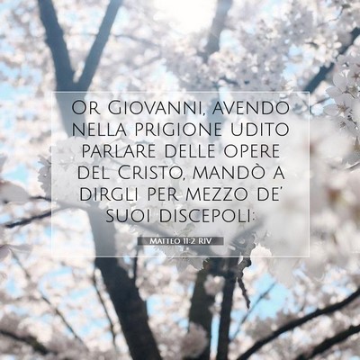 Matteo 11:2 Versetto della Bibbia Spiegato