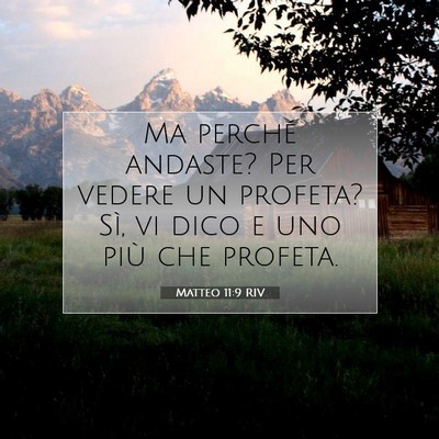 Matteo 11:9 Versetto della Bibbia Spiegato