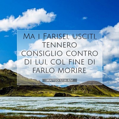 Matteo 12:14 Versetto della Bibbia Spiegato