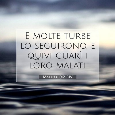 Matteo 19:2 RIV Immagine del Versetto della Bibbia