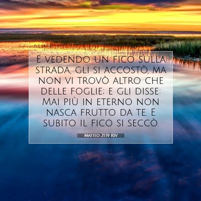 Matteo 21:19 Versetto della Bibbia Spiegato