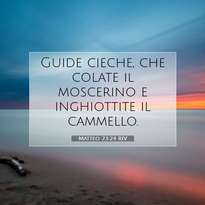 Matteo 23:24 RIV Immagine del Versetto della Bibbia