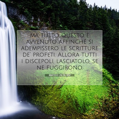 Matteo 26:56 Versetto della Bibbia Spiegato