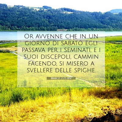 Marco 2:23 RIV Immagine del Versetto della Bibbia