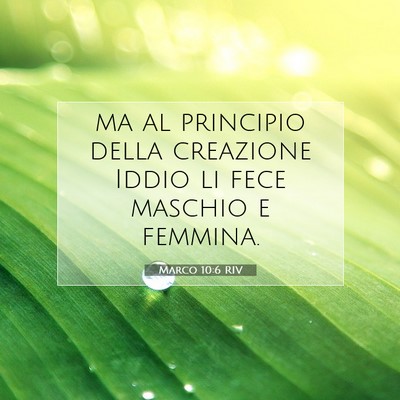 Marco 10:6 RIV Immagine del Versetto della Bibbia