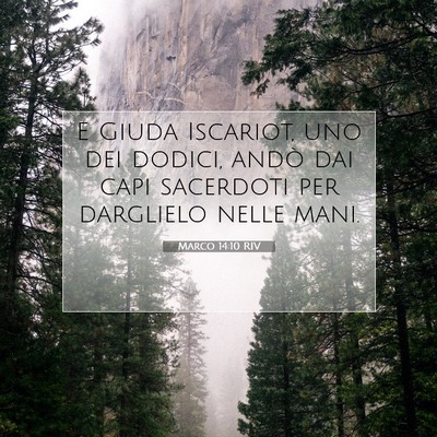 Marco 14:10 RIV Immagine del Versetto della Bibbia