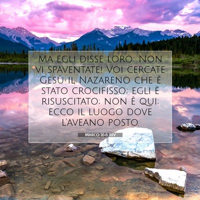 Marco 16:6 RIV Immagine del Versetto della Bibbia