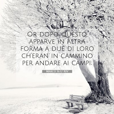 Marco 16:12 RIV Immagine del Versetto della Bibbia