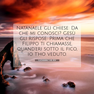 Giovanni 1:48 Versetto della Bibbia Spiegato