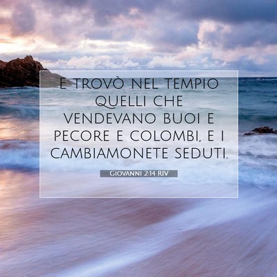 Giovanni 2:14 RIV Immagine del Versetto della Bibbia