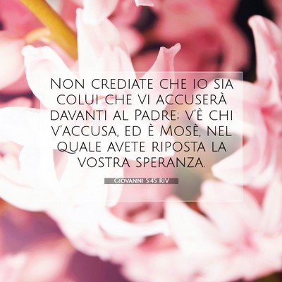 Giovanni 5:45 Versetto della Bibbia Spiegato