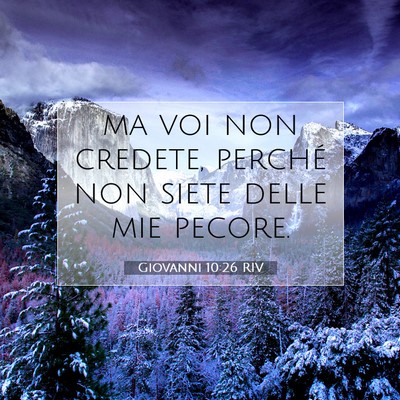 Giovanni 10:26 RIV Immagine del Versetto della Bibbia