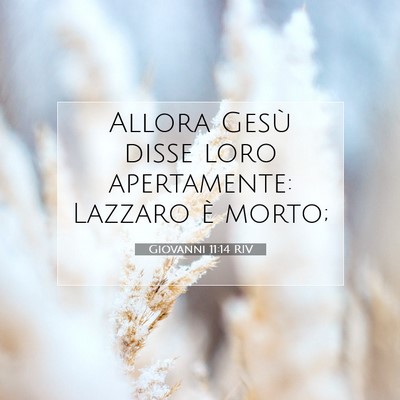 Giovanni 11:14 Versetto della Bibbia Spiegato