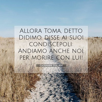 Giovanni 11:16 Versetto della Bibbia Spiegato