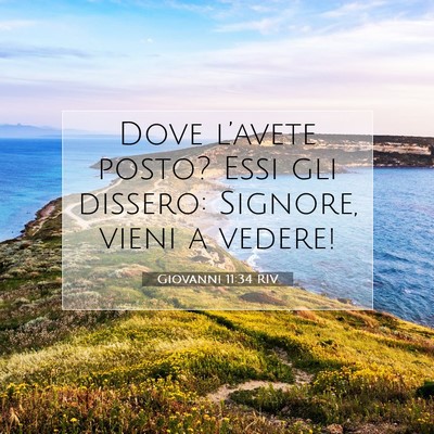 Giovanni 11:34 Versetto della Bibbia Spiegato