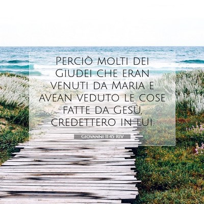 Giovanni 11:45 Versetto della Bibbia Spiegato