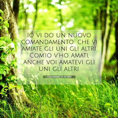 Giovanni 13:34 Versetto della Bibbia Spiegato