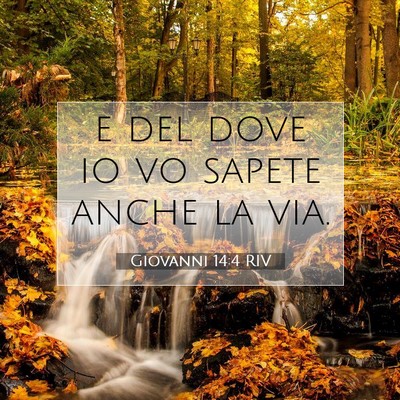 Giovanni 14:4 Versetto della Bibbia Spiegato