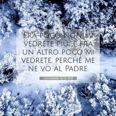 Giovanni 16:16 RIV Immagine del Versetto della Bibbia