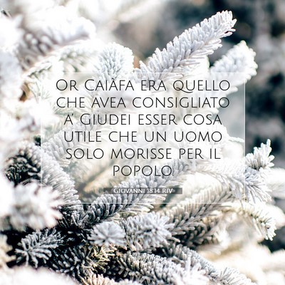 Giovanni 18:14 RIV Immagine del Versetto della Bibbia