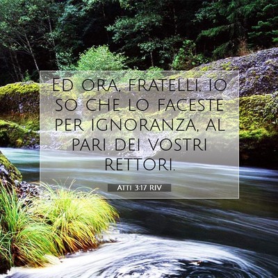 Atti 3:17 RIV Immagine del Versetto della Bibbia