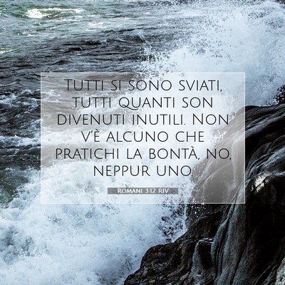 Romani 3:12 Versetto della Bibbia Spiegato