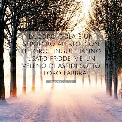 Romani 3:13 RIV Immagine del Versetto della Bibbia