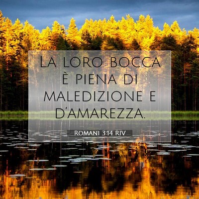 Romani 3:14 Versetto della Bibbia Spiegato