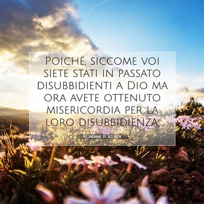 Romani 11:30 RIV Immagine del Versetto della Bibbia