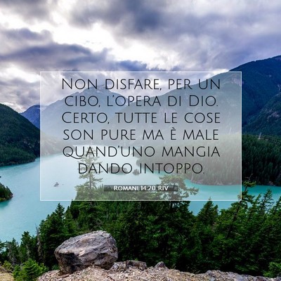 Romani 14:20 RIV Immagine del Versetto della Bibbia