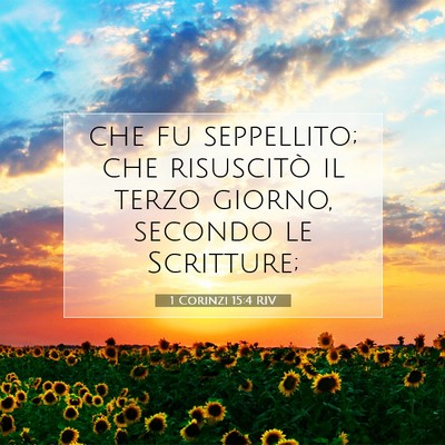 1 Corinzi 15:4 RIV Immagine del Versetto della Bibbia