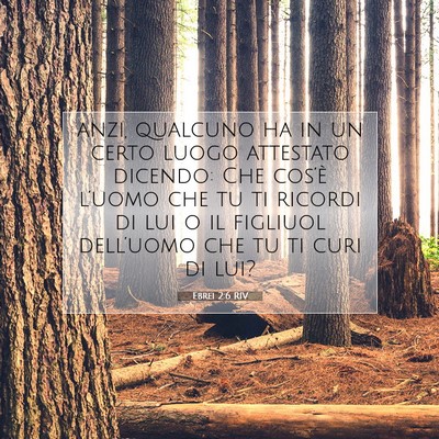 Ebrei 2:6 RIV Immagine del Versetto della Bibbia
