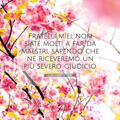 Giacomo 3:1 RIV Immagine del Versetto della Bibbia
