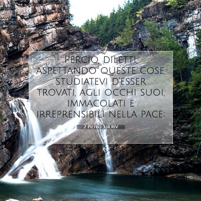 2 Pietro 3:14 RIV Immagine del Versetto della Bibbia